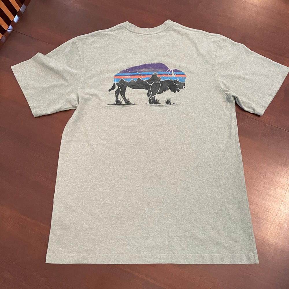 Patagonia Buffalo t-shirt, green, size small